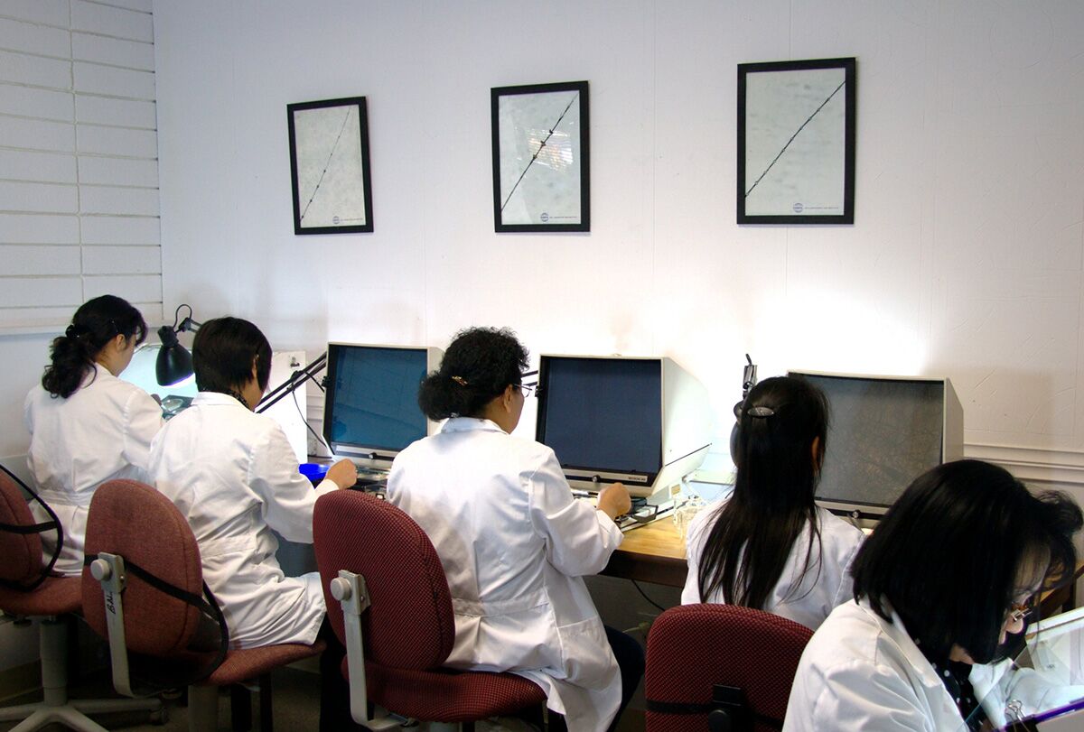 Species-Testing-Several-People